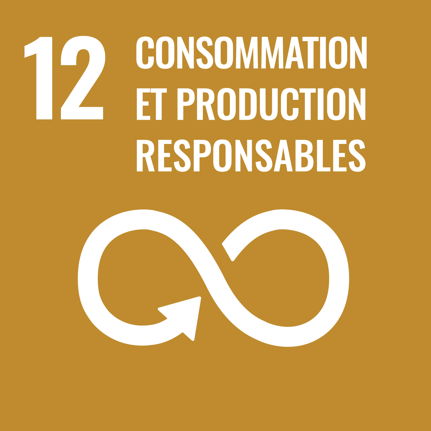 SDG 12 - Consommation et production responsables