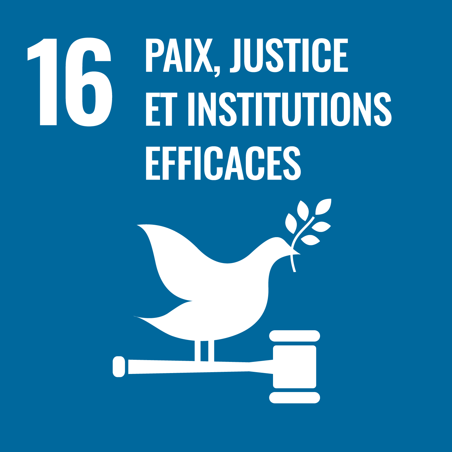 SDG 10 - Paix, justice et institutions efficaces